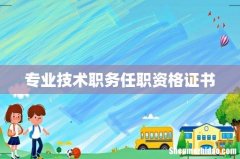 专业技术职务任职资格证书