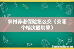 交哪个档次最划算 农村养老保险怎么交