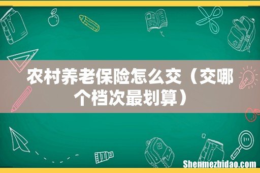 交哪个档次最划算 农村养老保险怎么交