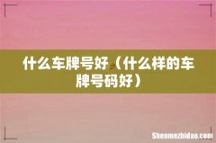 什么样的车牌号码好 什么车牌号好