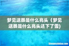 梦见送葬是什么兆头（梦见送葬是什么兆头还下了雪)
