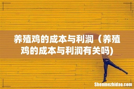 养殖鸡的成本与利润（养殖鸡的成本与利润有关吗)