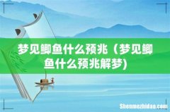 梦见鲫鱼什么预兆（梦见鲫鱼什么预兆解梦)