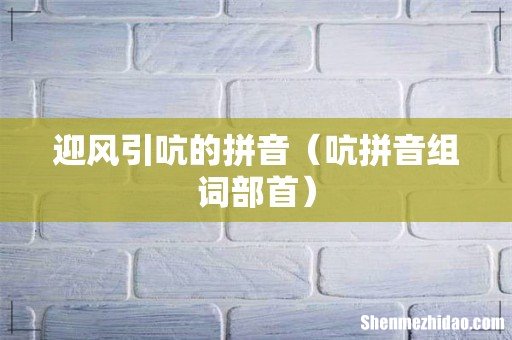 吭拼音组词部首 迎风引吭的拼音