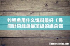 民间野钓鲤鱼最顶级的绝杀饵 钓鲤鱼用什么饵料最好