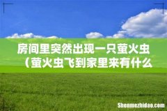 萤火虫飞到家里来有什么预兆 房间里突然出现一只萤火虫