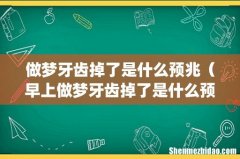 做梦牙齿掉了是什么预兆（早上做梦牙齿掉了是什么预兆)