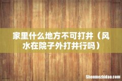 风水在院子外打井行吗 家里什么地方不可打井