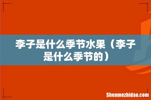 李子是什么季节的 李子是什么季节水果