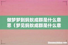 梦见蚂蚁成群是什么意思 做梦梦到蚂蚁成群是什么意思