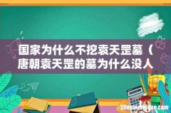 唐朝袁天罡的墓为什么没人敢挖 国家为什么不挖袁天罡墓