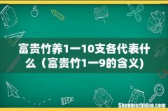 富贵竹养1一10支各代表什么（富贵竹1一9的含义)