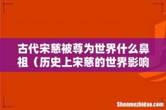 历史上宋慈的世界影响力 古代宋慈被尊为世界什么鼻祖