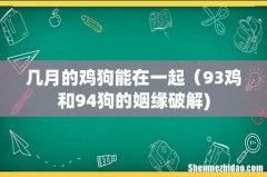 几月的鸡狗能在一起（93鸡和94狗的姻缘破解)