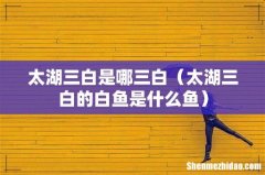 太湖三白的白鱼是什么鱼 太湖三白是哪三白