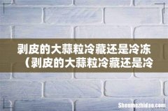 剥皮的大蒜粒冷藏还是冷冻保存 剥皮的大蒜粒冷藏还是冷冻
