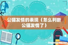 怎么判断公猫发情了 公猫发情的表现