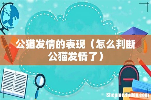 怎么判断公猫发情了 公猫发情的表现
