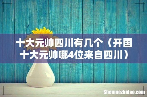 开国十大元帅哪4位来自四川 十大元帅四川有几个