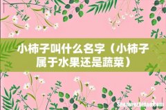 小柿子属于水果还是蔬菜 小柿子叫什么名字