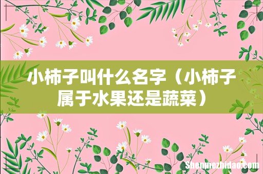 小柿子属于水果还是蔬菜 小柿子叫什么名字