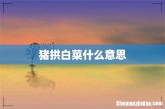 猪拱白菜什么意思