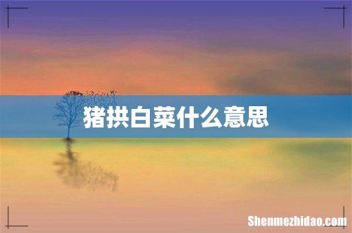 猪拱白菜什么意思
