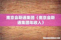 南京会斯通集团年收入 南京会斯通集团