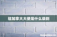 驻加拿大大使是什么级别