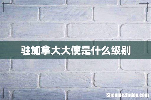 驻加拿大大使是什么级别