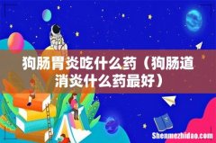 狗肠道消炎什么药最好 狗肠胃炎吃什么药