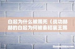 战功赫赫的白起为何被秦昭襄王赐死 白起为什么被赐死