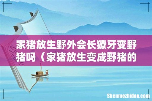 家猪放生变成野猪的原理 家猪放生野外会长獠牙变野猪吗