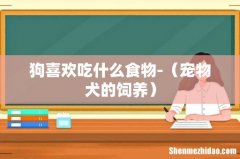 宠物犬的饲养 狗喜欢吃什么食物-