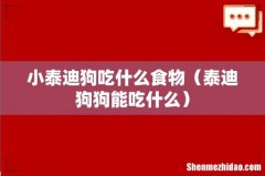 泰迪狗狗能吃什么 小泰迪狗吃什么食物