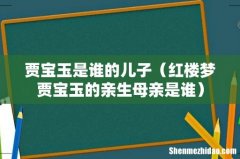 红楼梦贾宝玉的亲生母亲是谁 贾宝玉是谁的儿子