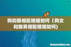 狗和猴相配婚姻如何（狗女和猴男相配婚姻如何)