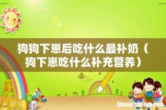 狗下崽吃什么补充营养 狗狗下崽后吃什么最补奶