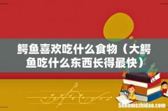 大鳄鱼吃什么东西长得最快 鳄鱼喜欢吃什么食物