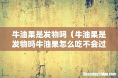 牛油果是发物吗牛油果怎么吃不会过敏 牛油果是发物吗