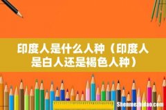 印度人是白人还是褐色人种 印度人是什么人种