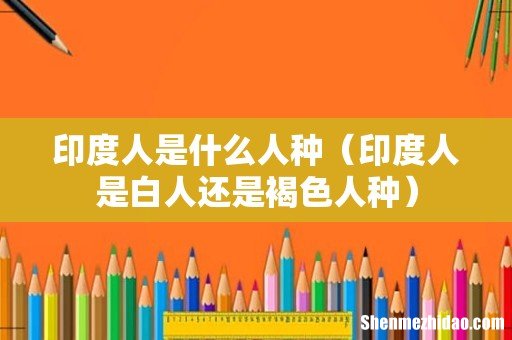 印度人是白人还是褐色人种 印度人是什么人种