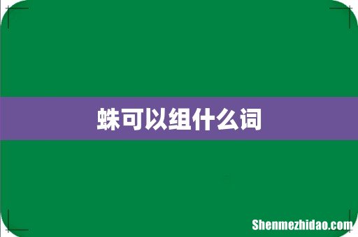 蛛可以组什么词