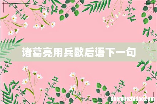诸葛亮用兵歇后语下一句