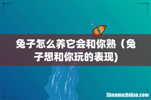 兔子怎么养它会和你熟(兔子想和你玩的表现)