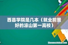 就业前景好的凉山第一高校 西昌学院是几本