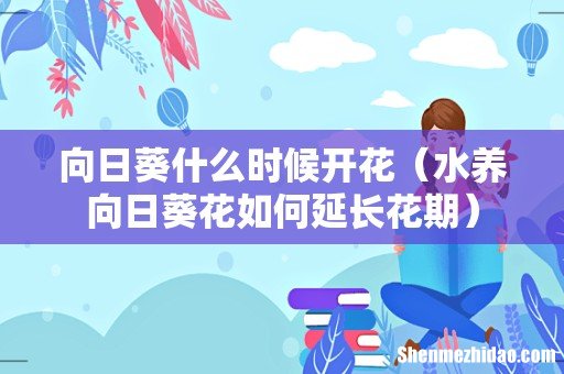 水养向日葵花如何延长花期 向日葵什么时候开花