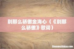 《别那么骄傲》歌词 别那么骄傲金海心