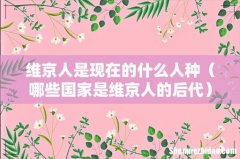 哪些国家是维京人的后代 维京人是现在的什么人种