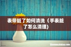 表带脏了如何清洗（手表脏了怎么清理)